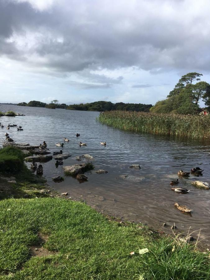 Killarney Saoirse Cottage Dış mekan fotoğraf